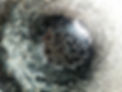 1480766931701.jpeg