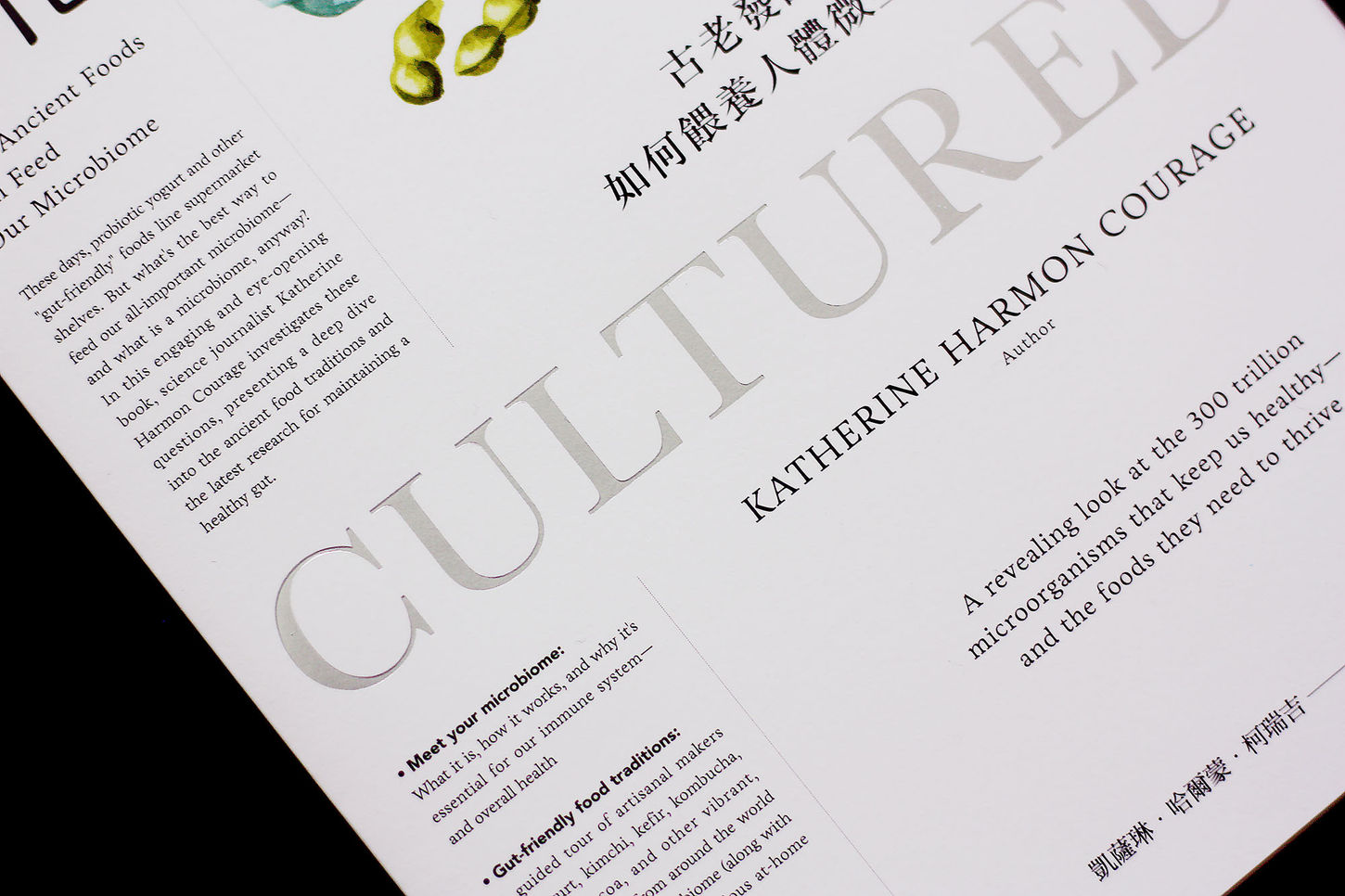方舟 發酵文化 封面設計