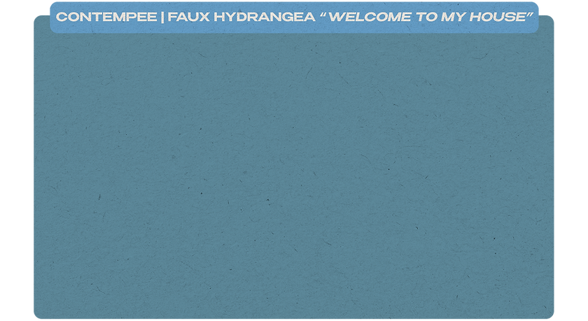 Contempee_TextBoxes.png
