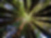 istockphoto-511094007-612x612.jpg