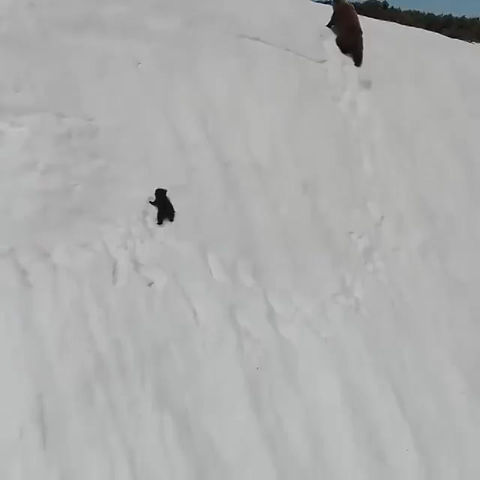 그분은 당신의 내면 깊은 곳에 무엇을 내려놓으셨는지 알고 계십니다. 