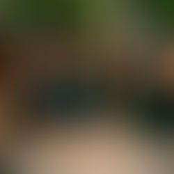 L'humilité : quelques versets à méditer