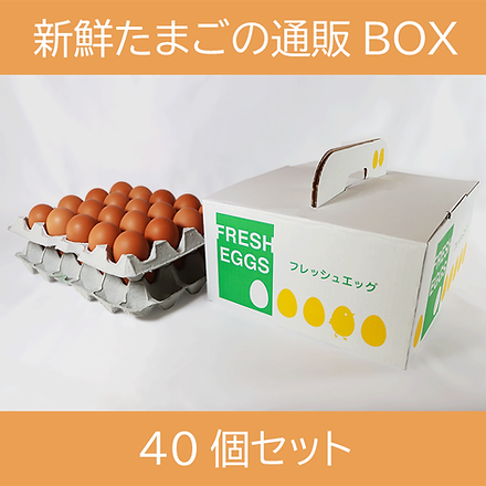 新鮮たまご 40個BOX | Mysite