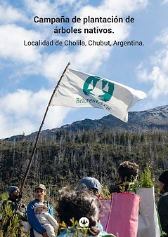 Informes_portada.jpg