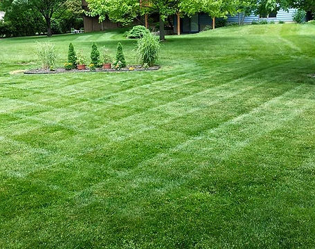 h-d-lawncare-12.jpg