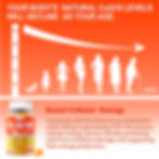 Thumbnail: CoQ10 200mg Gummies, Sugar-Free Coenzyme Q10 with Vitamin E(d-Alpha Tocopherol)