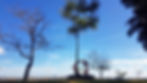 f67f9718-8a74-47d4-9386-ce0e0e0900b1