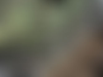 This Is the Part No One Talks About on the Farm