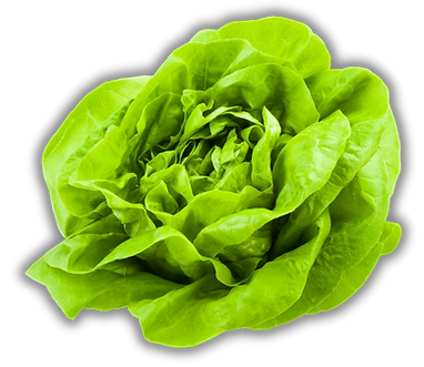 Salat