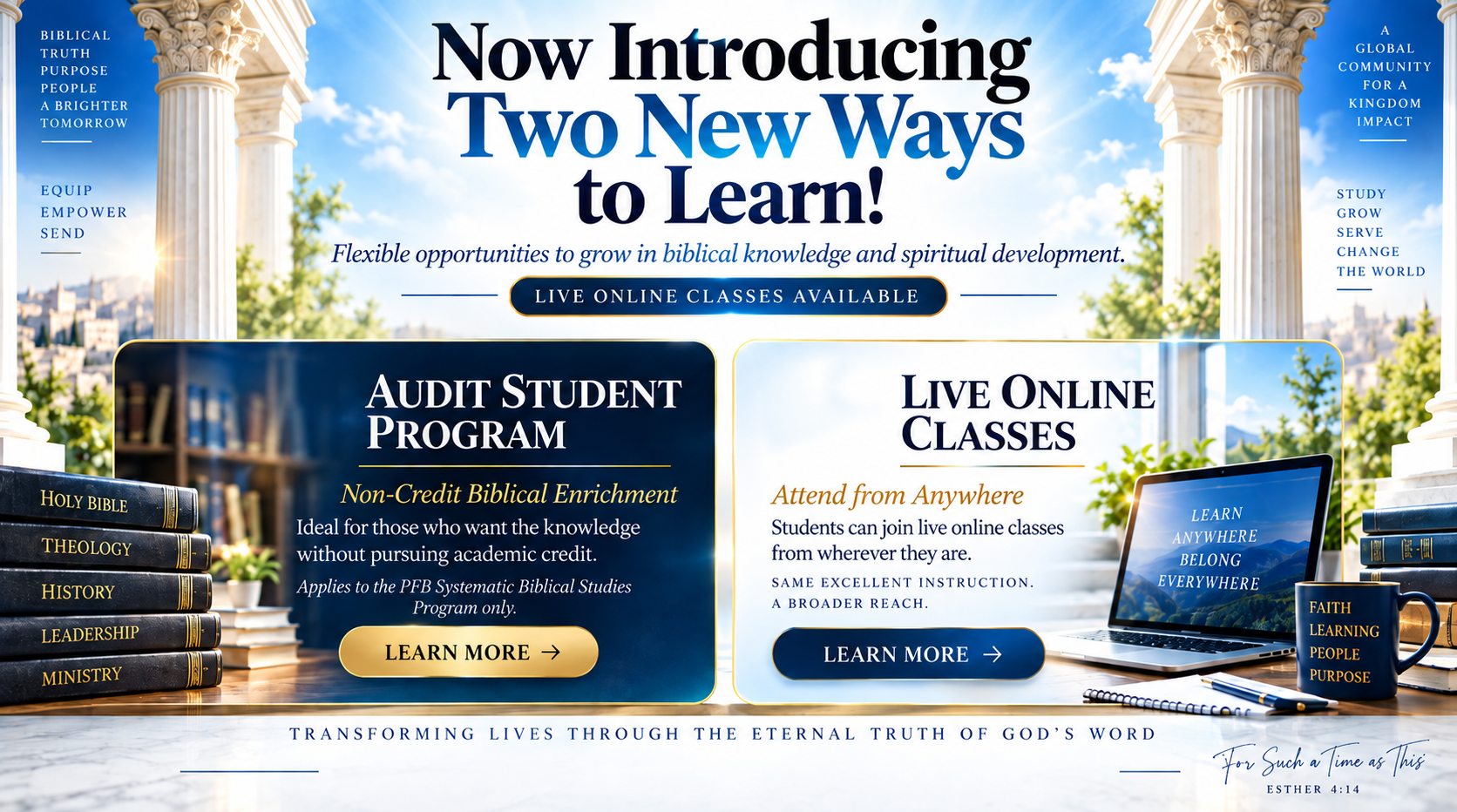 audit_online program.png