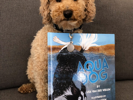 What can DOGS teach us?