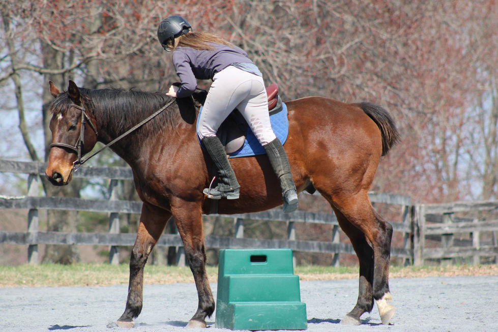 A woman getting onto her horse using green steps.