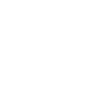Line and Shape Pattern White