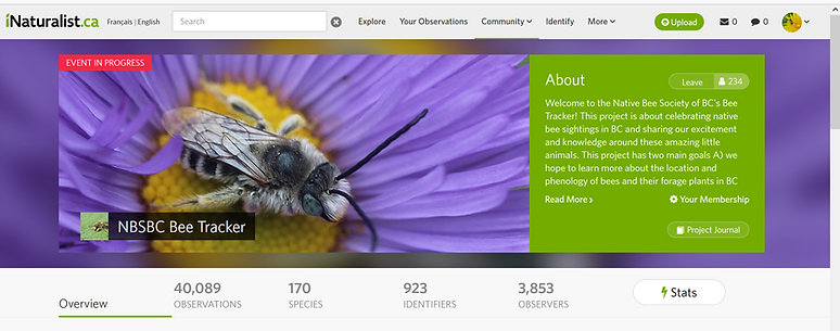 Beetracker project
