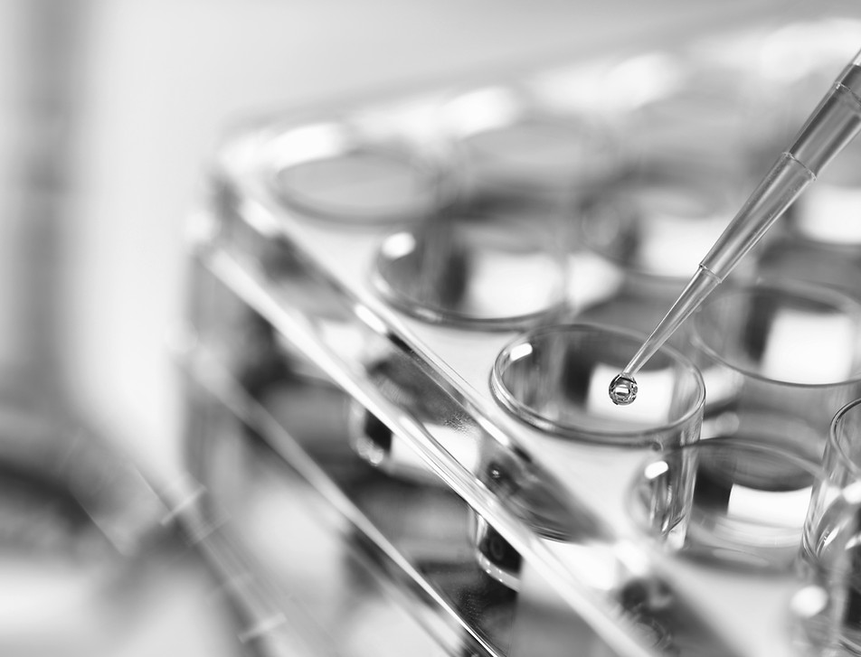 Pipette and test plate_edited.jpg