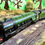 Thumbnail: Bachmann 31-529 A2 (Peppercorn) 60534 Irish Elegance