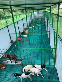 WhatsApp Image 2024-01-14 at 12.40.17