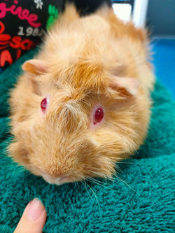 152840656_3580450708730373_1867873573689