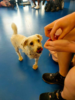 152253334_337571100914998_67185800114506