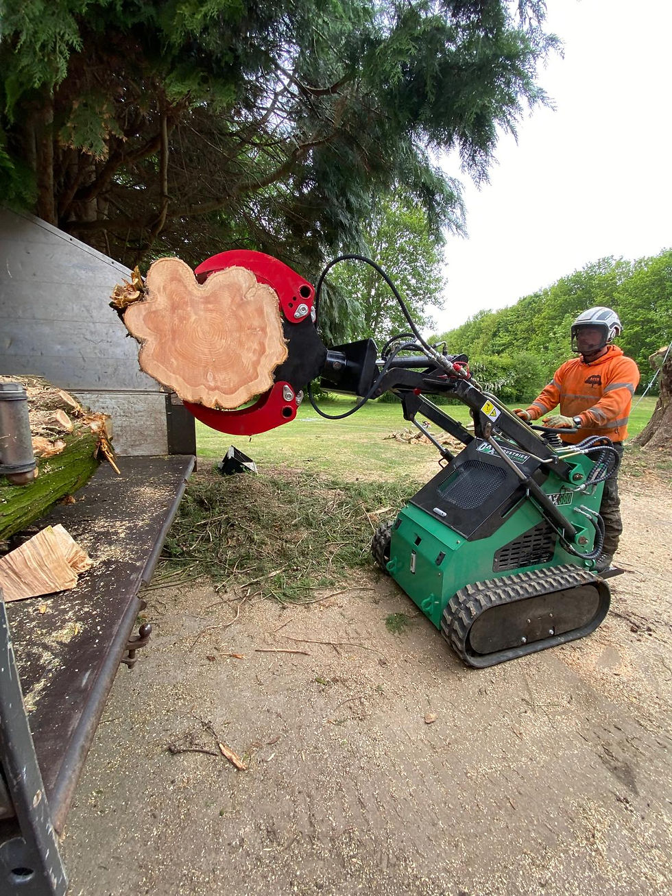 Thumbnail: mini skid loader skid steer log grab grapple timber cord wood loading tipper