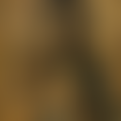 Weekly Liturgy : December 1-7