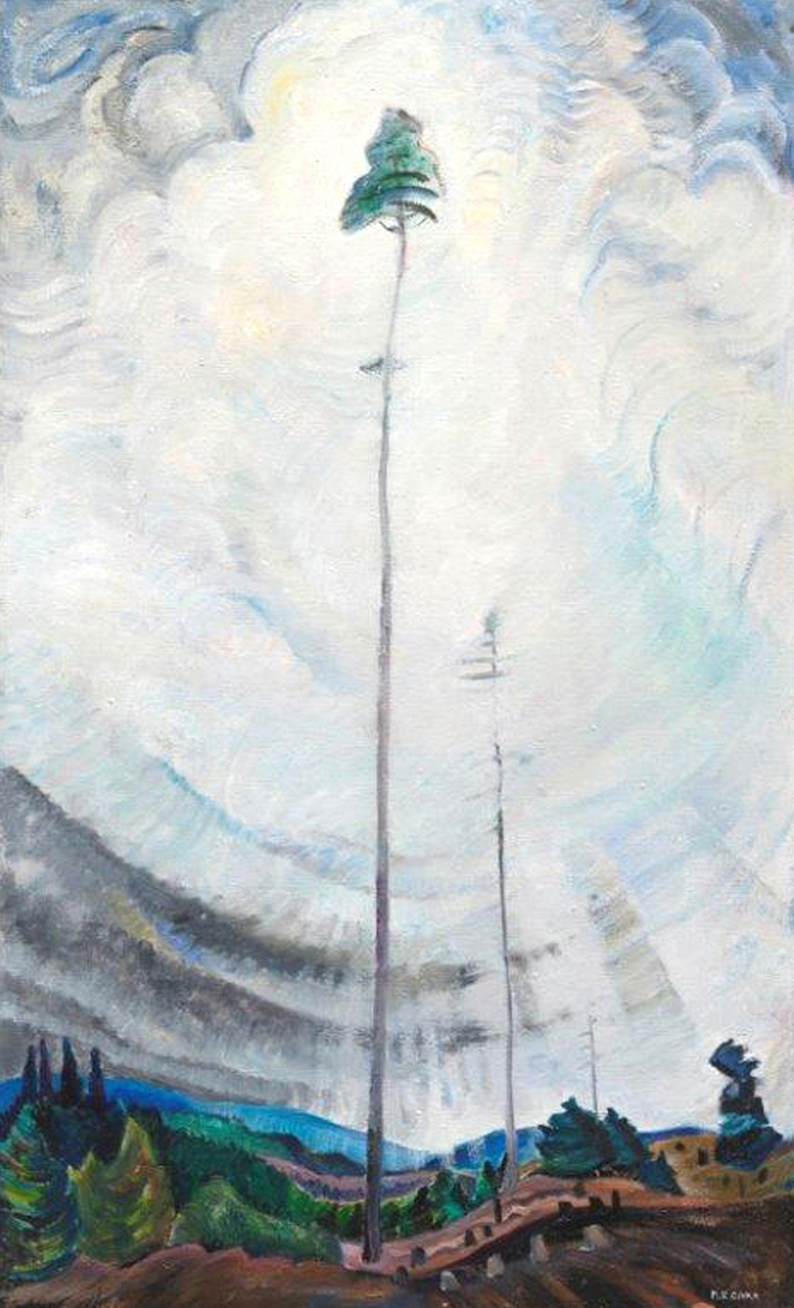 Scorned as Timber, Beloved of the Sky Emily Carr ©1935