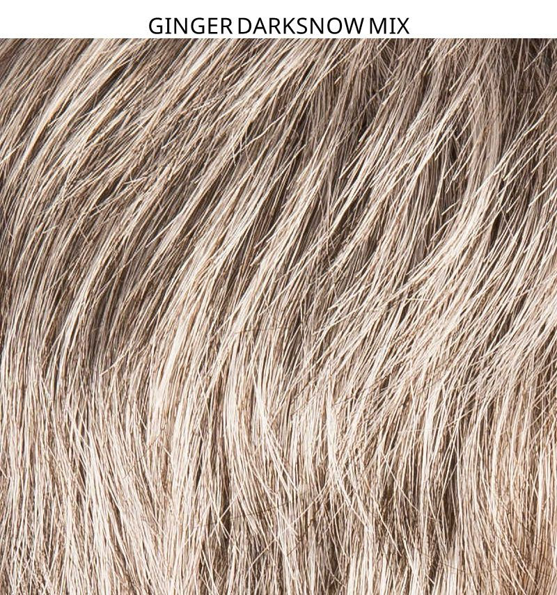 Miniatura: GINGER