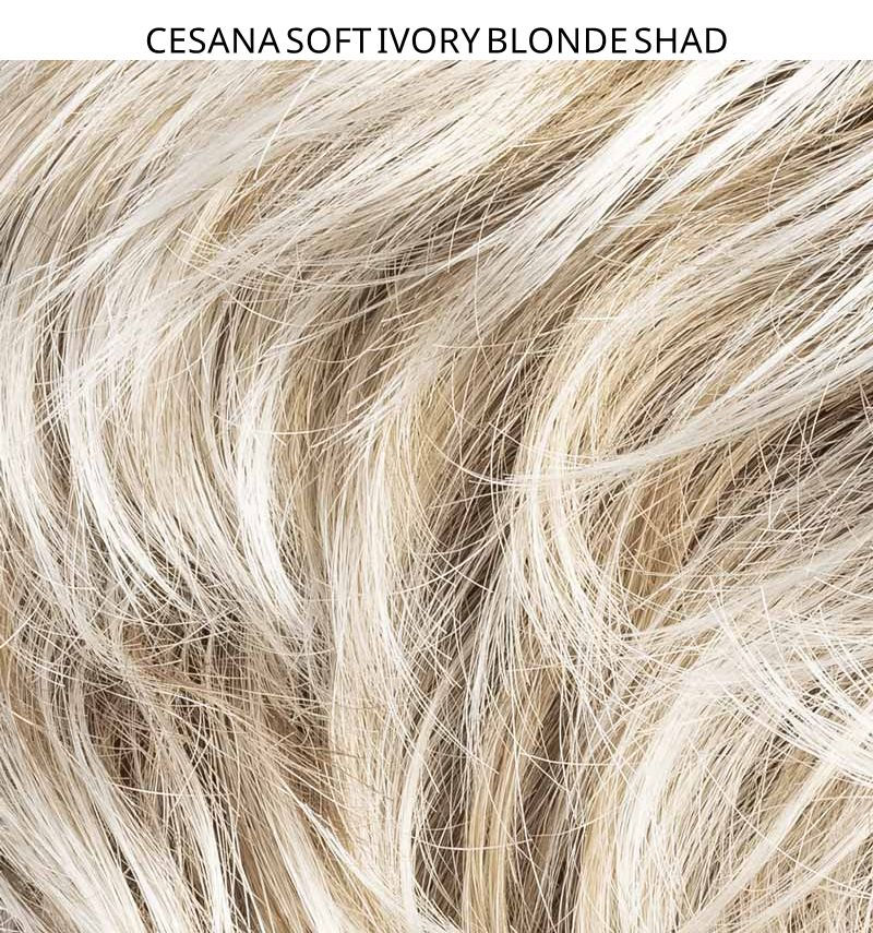 Miniatura: CESANA SOFT