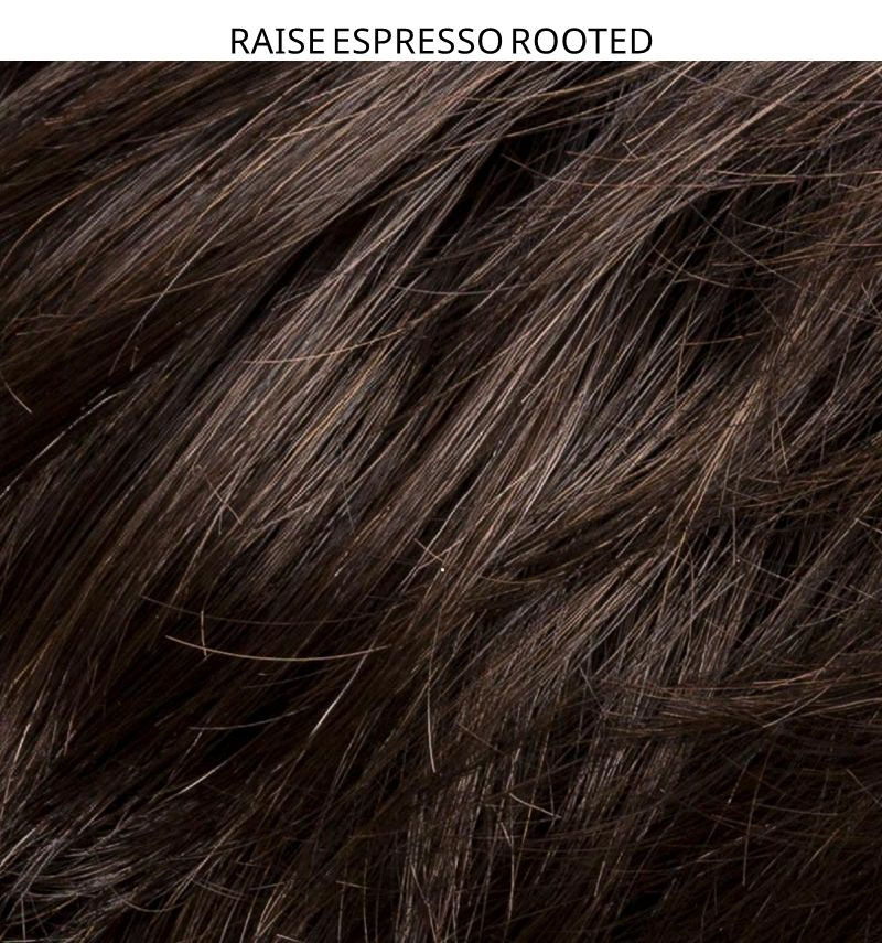 Miniatura: RAISE