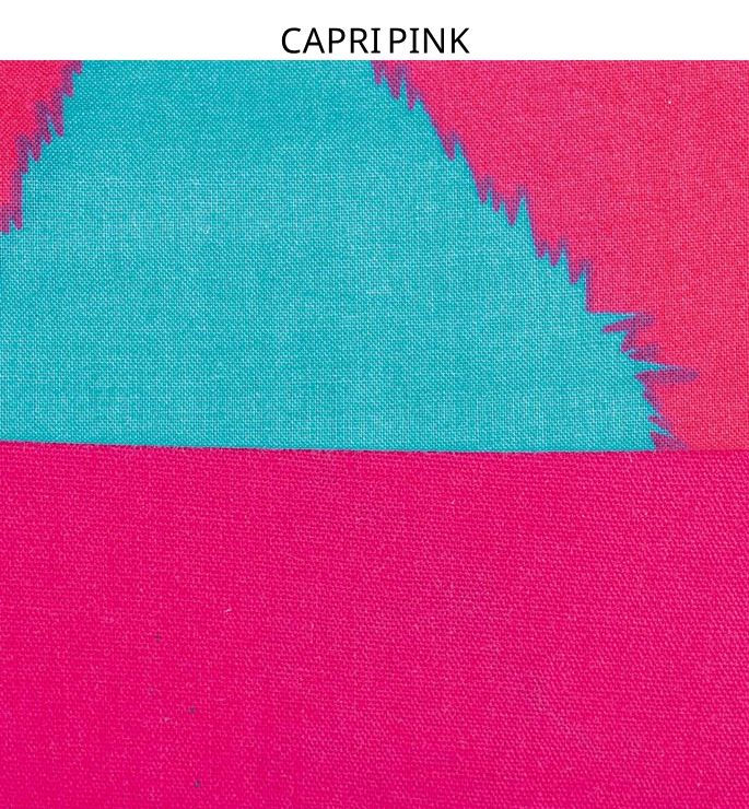 Miniatura: CAPRI