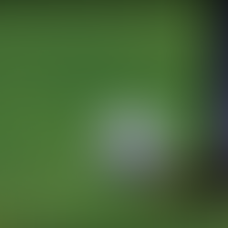 Clubhouse Yarns – Are Expensive Golf Balls Actually Better? 