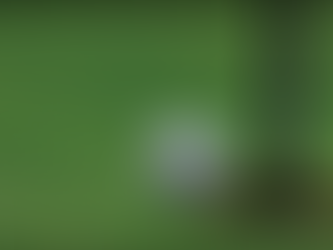 Clubhouse Yarns – Are Expensive Golf Balls Actually Better?