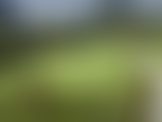 Range Chat – Should You Practice or Play More to Get Better at Golf? 