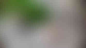 IMG-20250718-WA0030