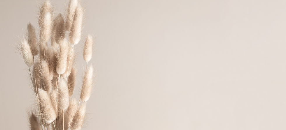 AdobeStock_617926131.jpeg