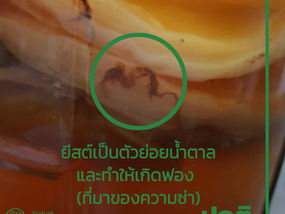 คอมบูชาขึ้นรา? แบบไหนปกติแบบไหนคือรา และสาเหตุการขึ้นราคืออะไร?