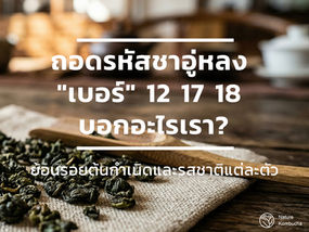ใบชาอู่หลงแห้งบนช้อนไม้ ภาพหน้าปกบทความถอดรหัสความหมายของเบอร์ชา 12, 17 และ 18