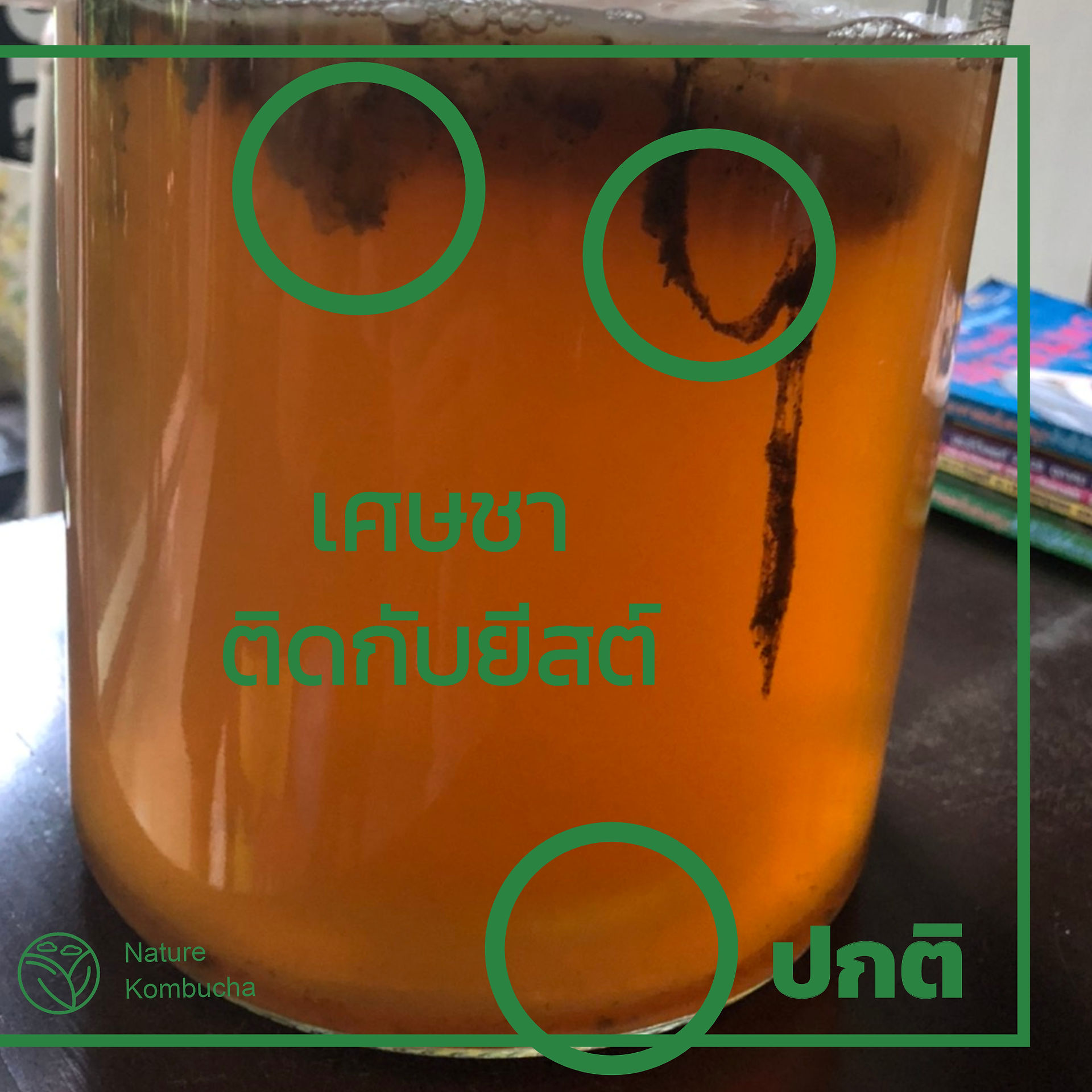 คอมบูชามีเส้นใยสีดำๆ 