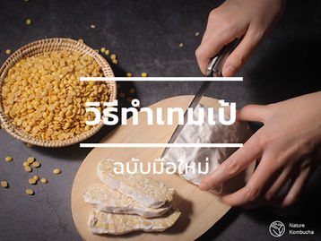 วิธีทำ เทมเป้ (Tempeh) 101 ฉบับมือใหม่