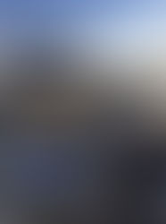 July 10th Bolsa Chica Conservancy Pacific Coast Dreamin’ Barefoot Ball