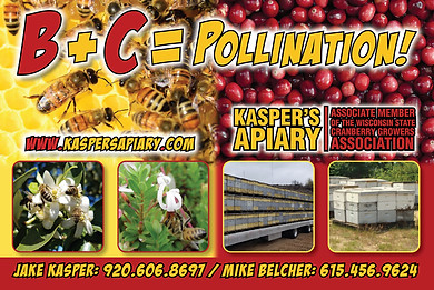 Kaspers Postcard.jpg