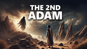 The 2nd Adam: Similar Trials