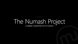 The Numash Project