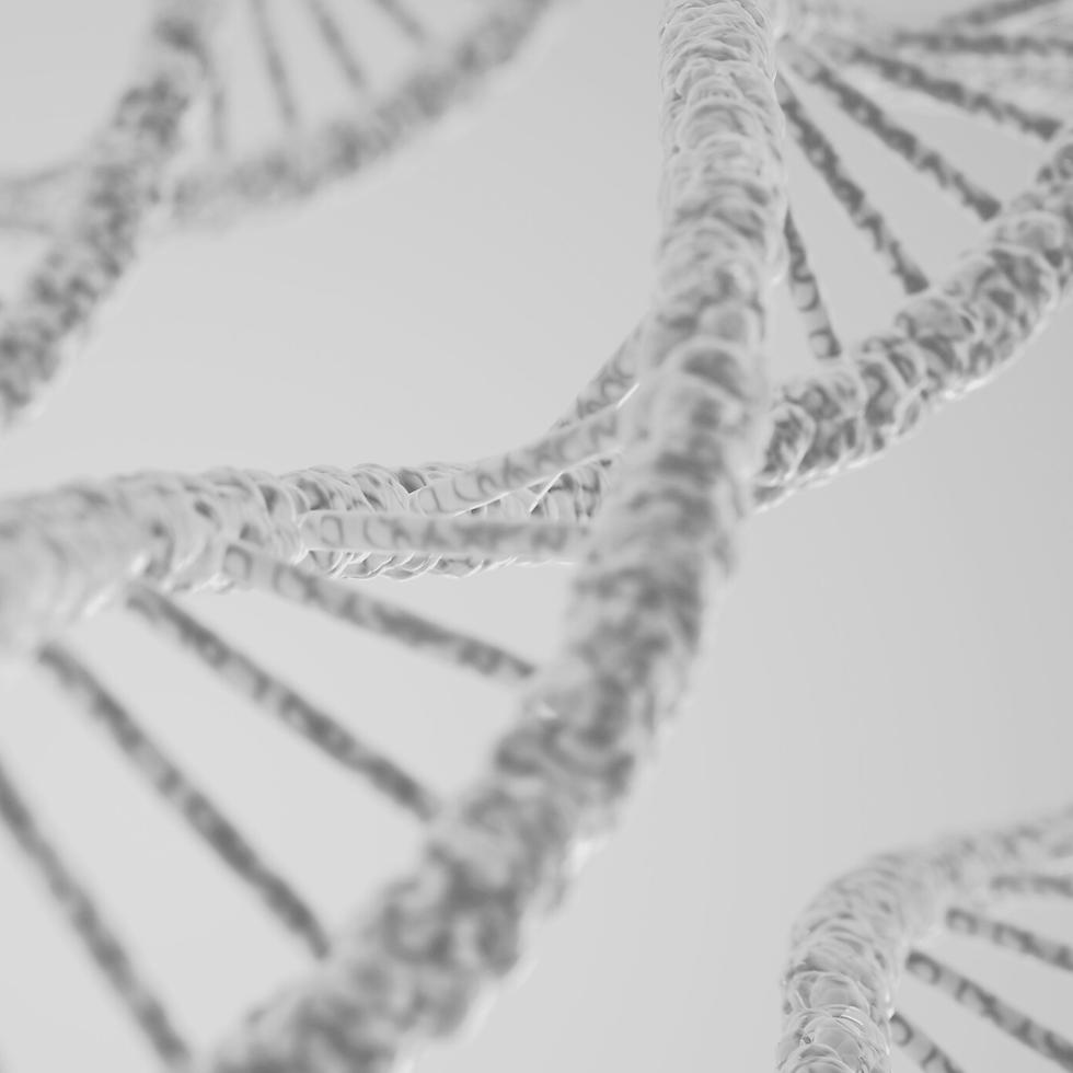 Genética, epigenética y árbol transgeneracional | Lo que heredamos y lo que activamos