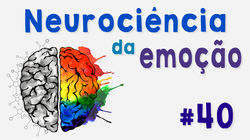 pde40-banner-site