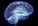 It's Just Brain Science