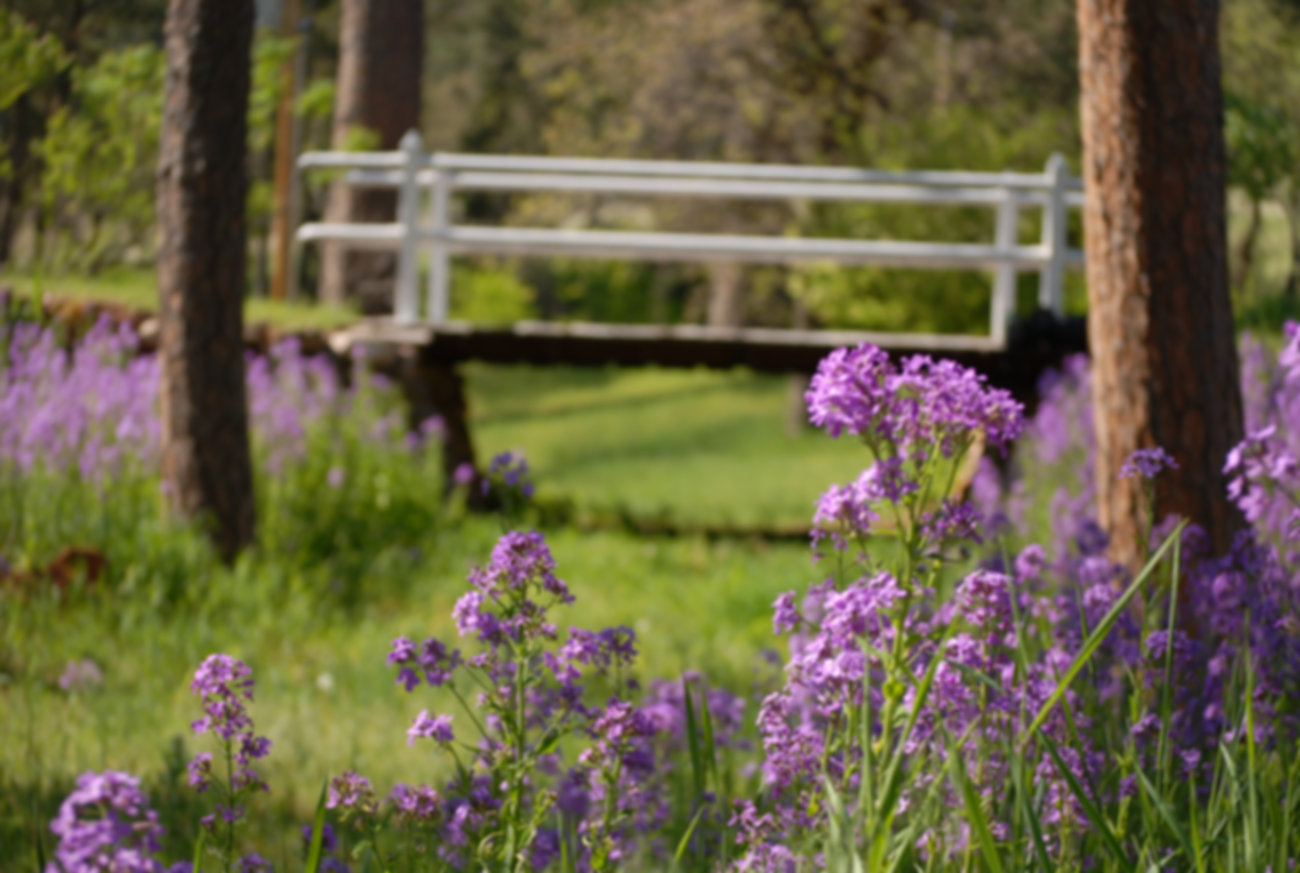 Spring time on BH Lifestyle Medicine Center campus