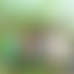 Vanaf 16 sept Nieuwe ronde Clubjes