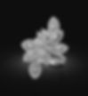 Designer diamond ring - white gold