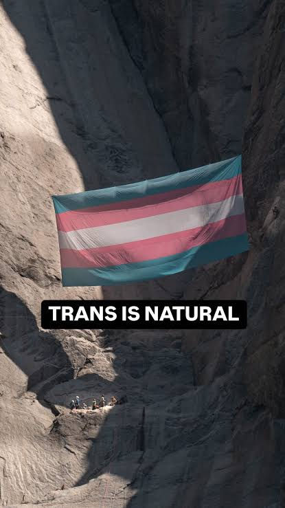 Bandera trans